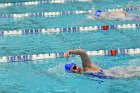 Swimming & Diving vs RWU  Swimming & Diving vs Roger Williams University. - Photo by Keith Nordstrom : Wheaton, Swimming